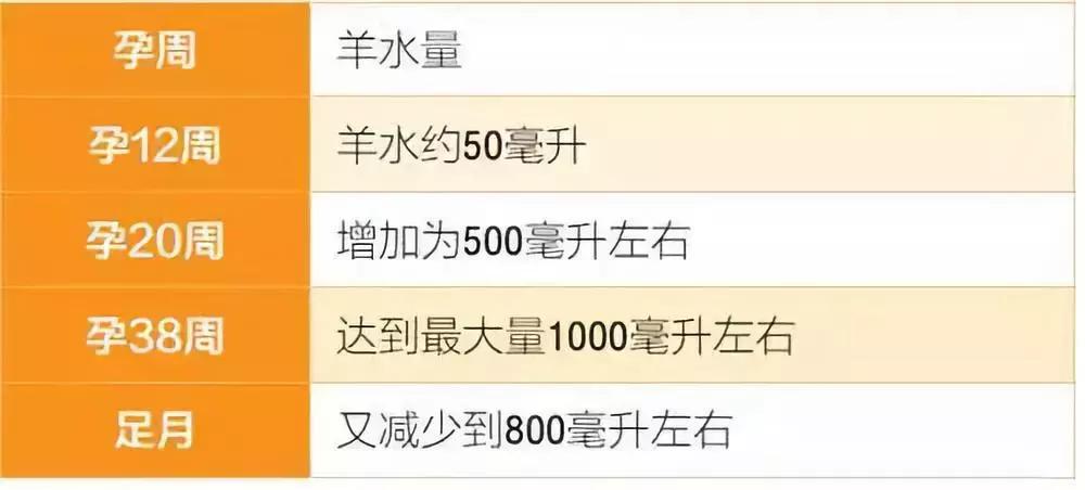 整个孕期，B超究竟都能查出些什么？