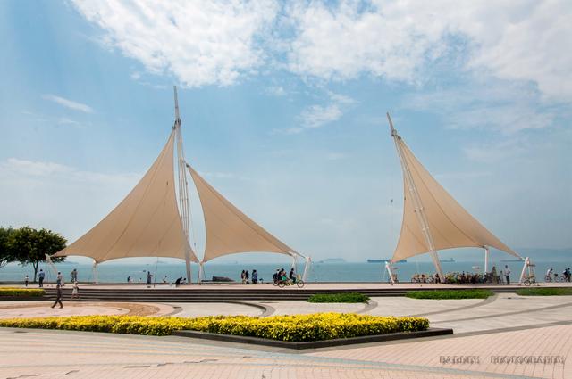 2024厦门市青少年足球锦标赛,2035厦门杯青少年足球比赛