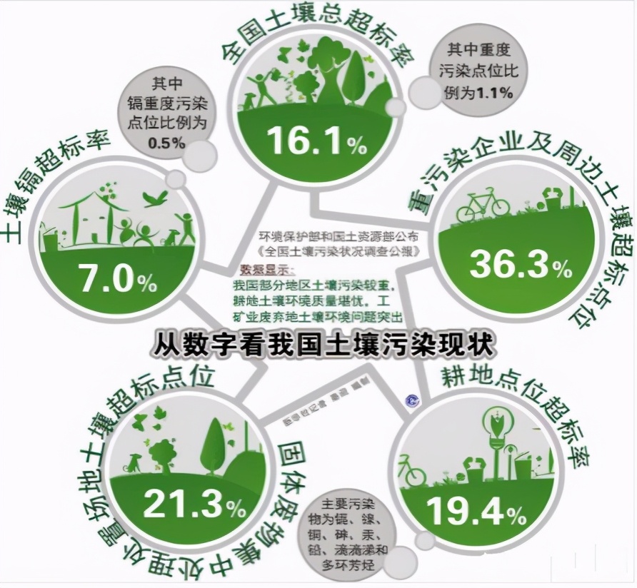 舌尖上的安全感悟,舌尖上的安全全册