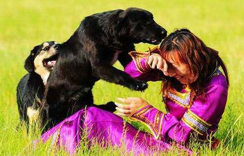 狗狗犯错了骂小狗是对的吗,狗狗犯错了打了它会不会记仇