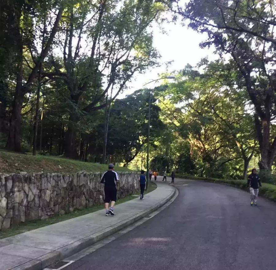 马来西亚吉隆坡槟城兰卡威自由行,马来西亚槟城兰卡威旅游价格