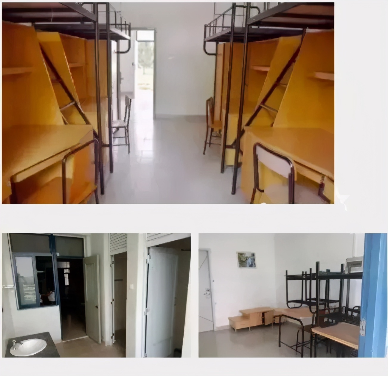 广东省排名前十的高职院,广东深职学院最低排名