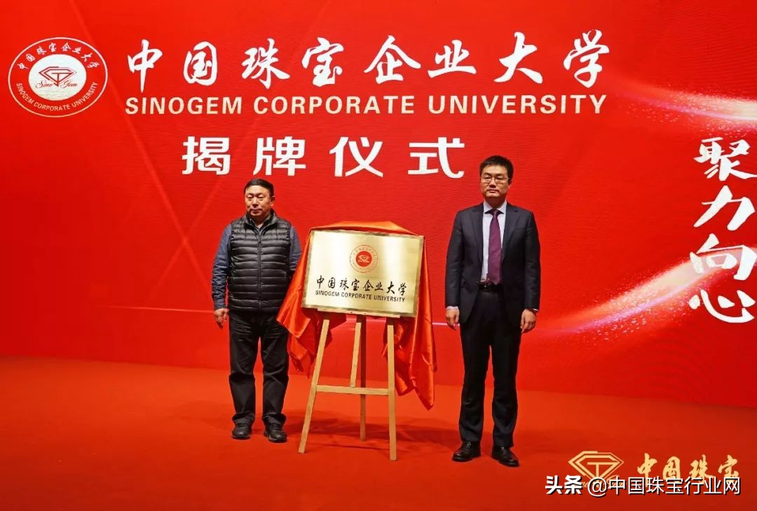 涓浗鐝犲疂鍝佺墝鍙戝睍澶т細,鍚堜綔鍏辫耽2019