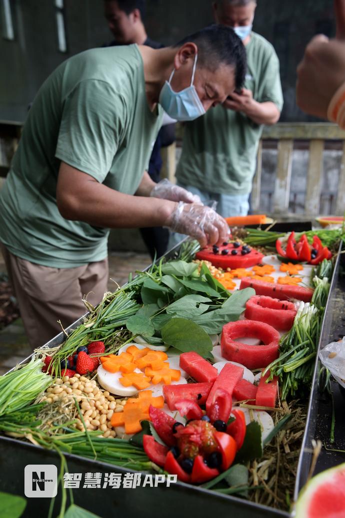 最特别的“百日宴”!小长颈鹿父亲节办派对