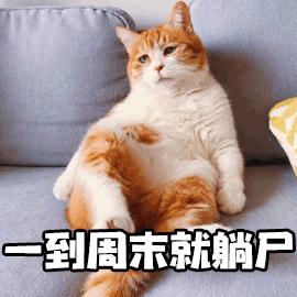 猫突然打了个喷嚏是怎么回事,猫怎么突然打了个喷嚏