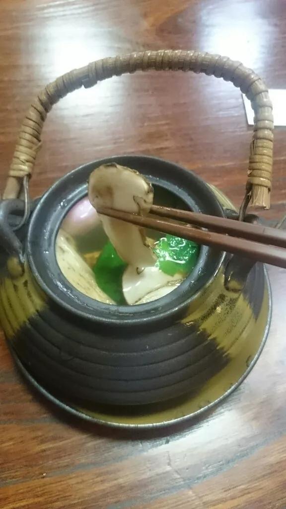 松茸菌干货的吃法,新鲜松茸菌怎么做好吃一点