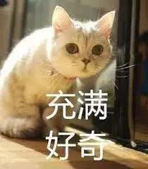 港校老师上课超会玩？推荐的书单怎么买划算？赴港攻略提前解锁