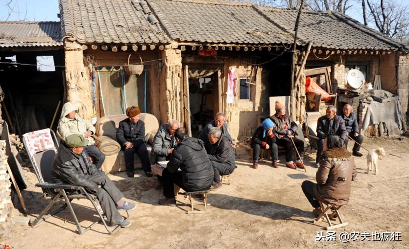 民间灶马头说年景：猪年到了，19年是几龙治水、几牛耕田？