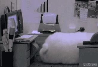 久坐伤肾有道理吗,久坐伤肾可以治好吗