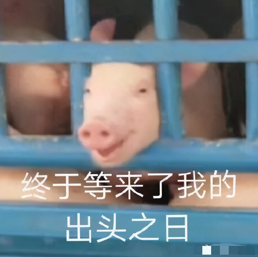 肖四肖八2024考研政治,政治肖四和肖八