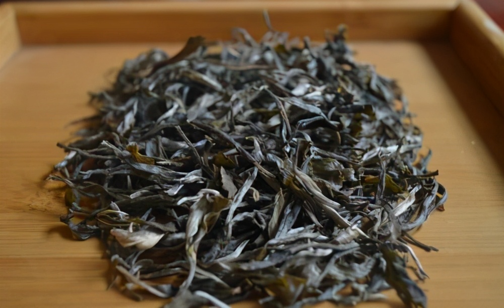 临沧古树茶有哪些产地和品种,古树茶产地在临沧哪里