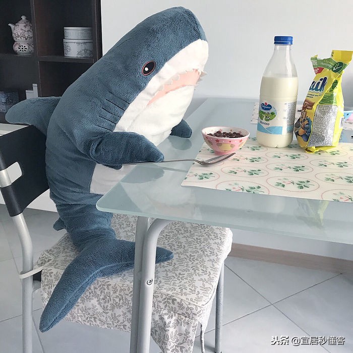 宜家小鲨鱼,为什么宜家鲨鱼火了