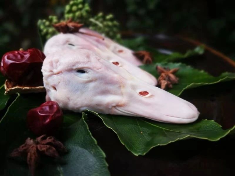 鸭时代的鸭子怎么做的,简单的做鸭方法