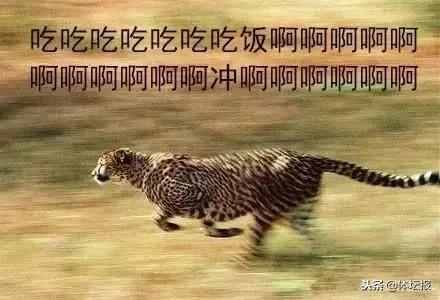 杭马半马难跑,杭马半马起跑时间