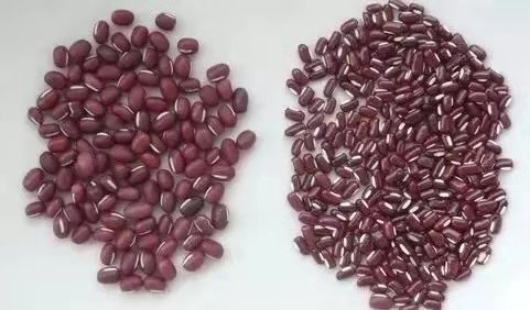 柠檬红豆薏米茶减肥真的有用吗,薏米红豆荷叶减肥茶真的有效吗