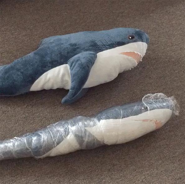 宜家小鲨鱼,为什么宜家鲨鱼火了