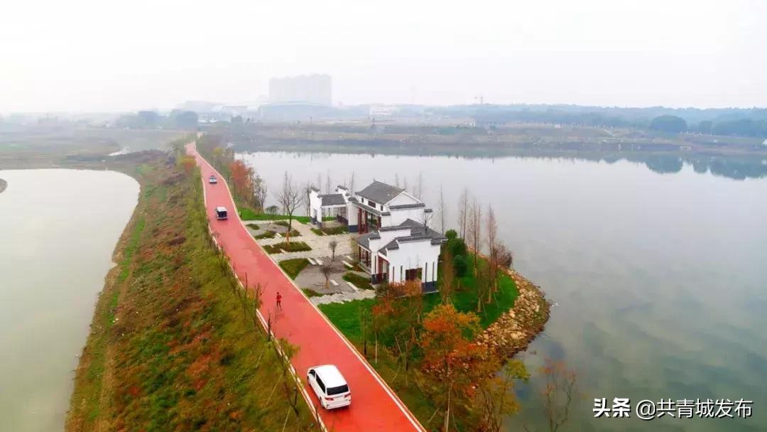 从a到z的成长,从a到z爱上茶的理由