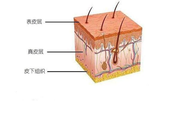 运动起水泡怎么处理好得快,收藏运动