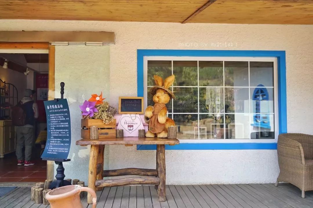 京郊童话树屋,京郊最美童话树屋