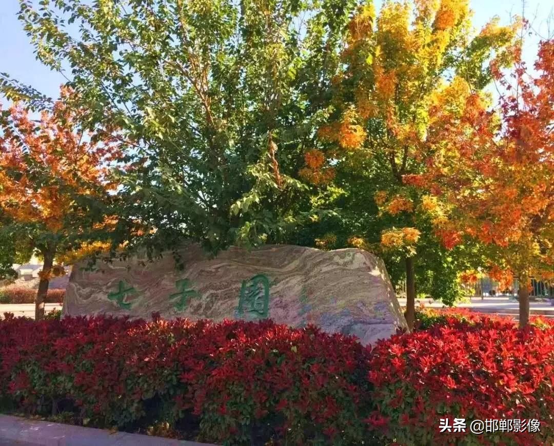 临漳七子湖的传说,临漳七子湖以前是什么样子的