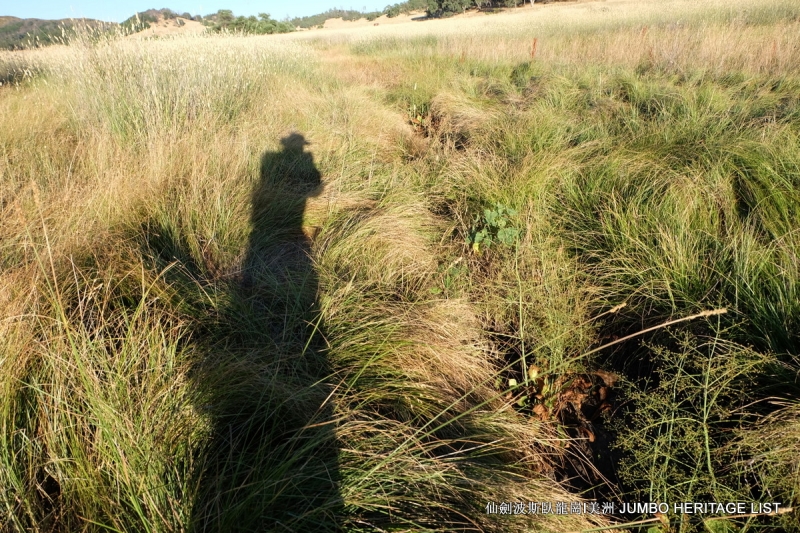 第3045回:人生一世草生一春,来如风雨去似微尘