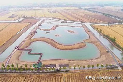 40个好消息,54个好消息