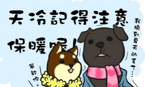 宝石树怎么种植,绿宝石植物如何扦插繁殖