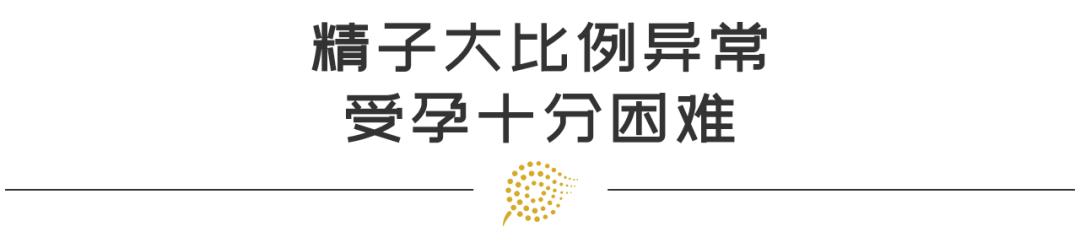 弱精死精少精怎么治,精少死精弱精无精中医怎么治