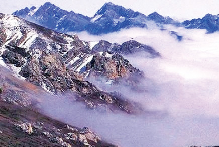 阳光景区附近的美食,阳光福地茂县路灯