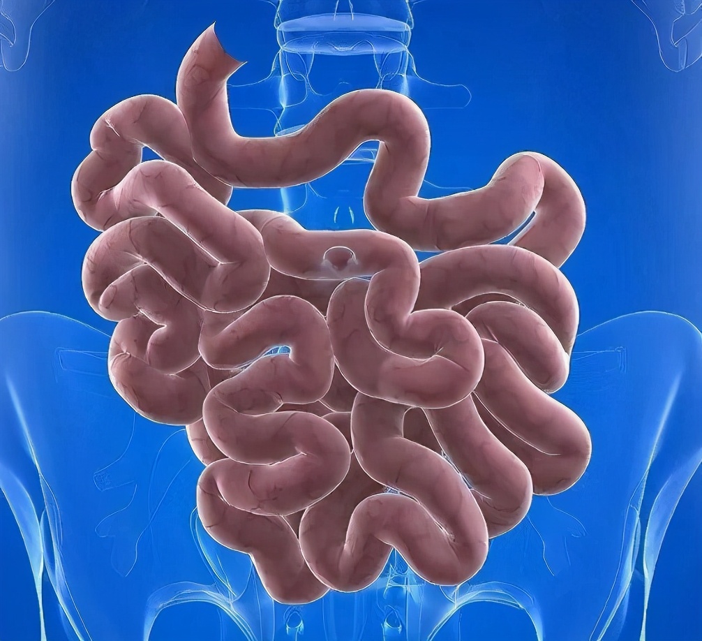 做一次胶囊内镜是什么感觉？最大的感觉就是‘没感觉’