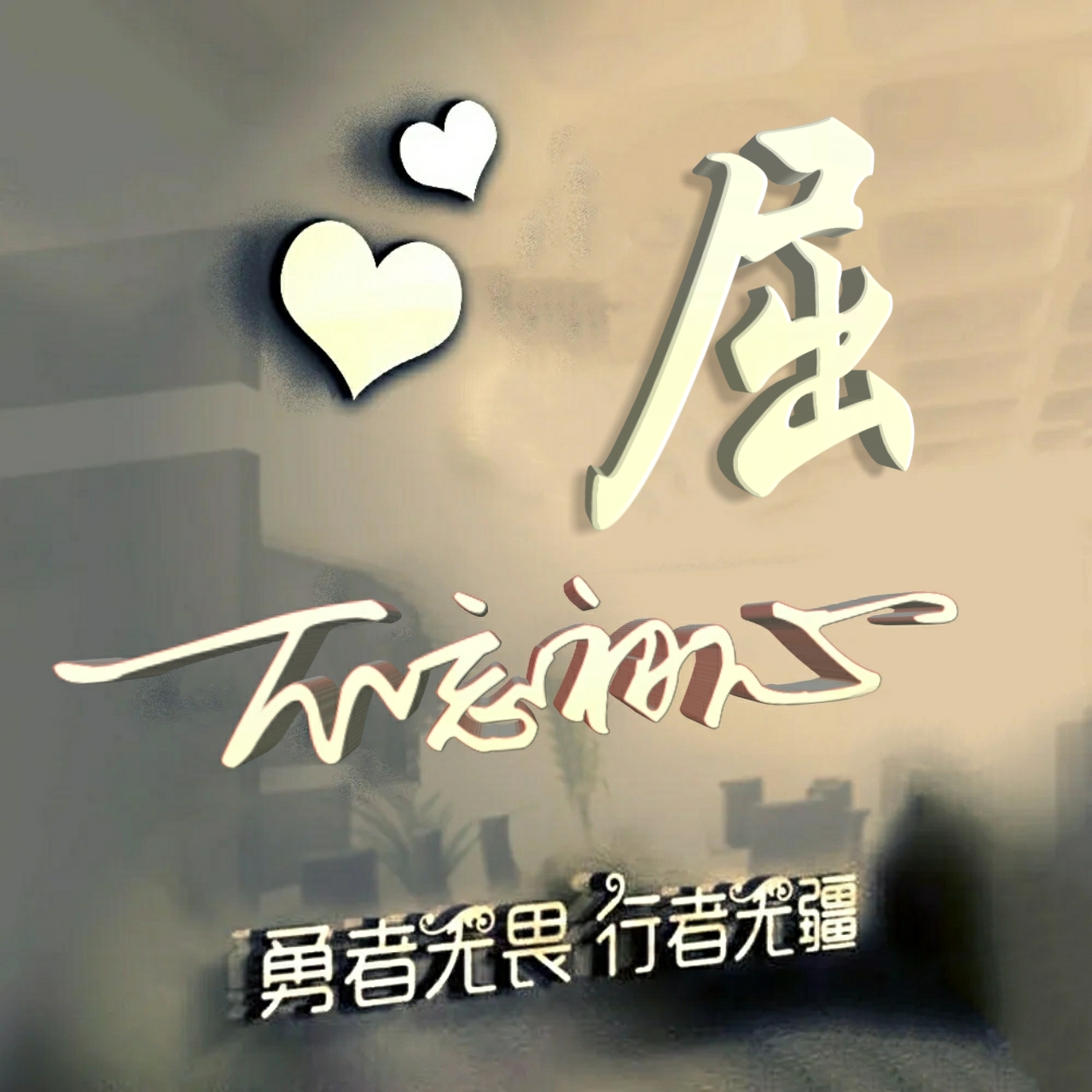 勇者无畏励志姓氏头像王,行者无疆勇者无畏智者无惧