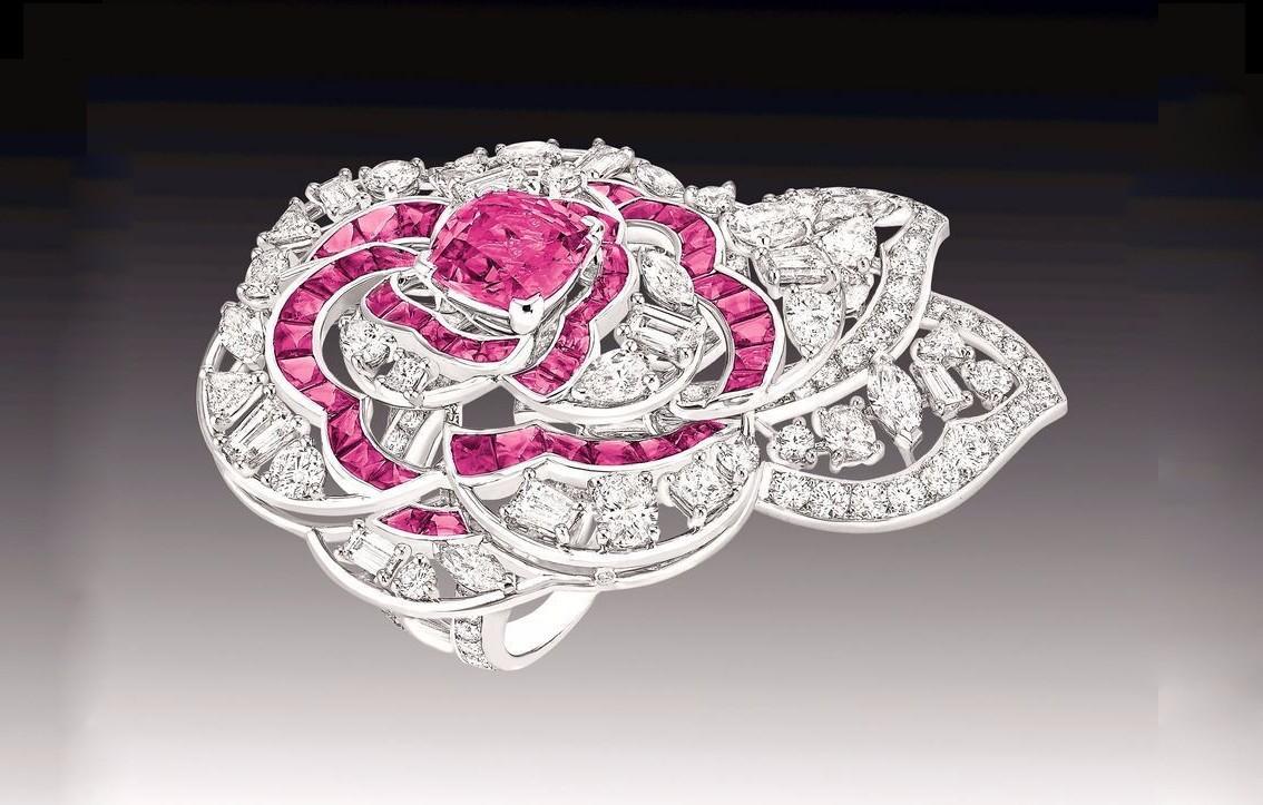 人世间有百媚千红的下一句是什么,任世间百媚千红唯独对你情有独钟