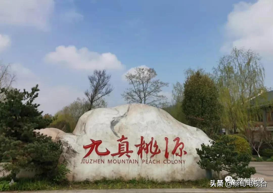 桃之夭夭!来武汉蔡甸世外桃源,许你万株桃花