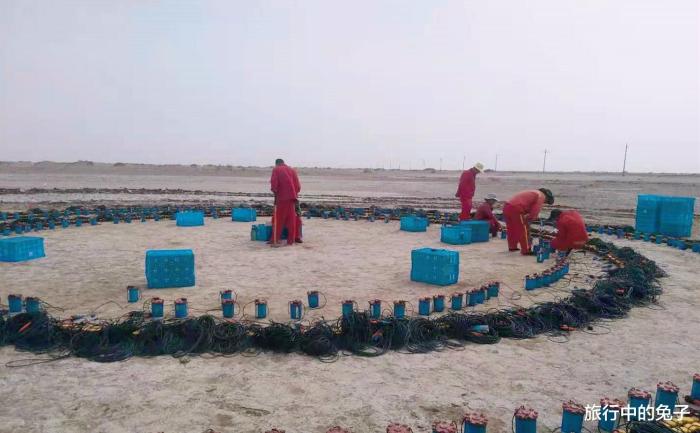 塔克拉玛干沙漠重现生机,塔克拉玛干沙漠可以变绿洲吗