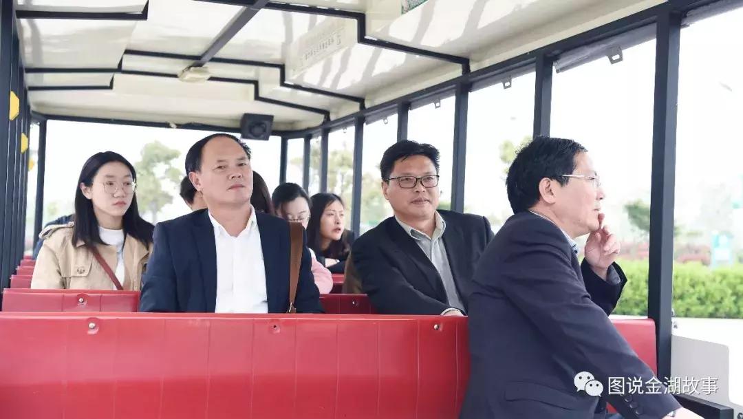 金湖荷花荡灯光秀,金湖荷花池塘美景