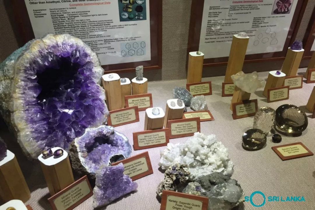 斯里兰卡特产有哪些值得带,斯里兰卡纪念品店