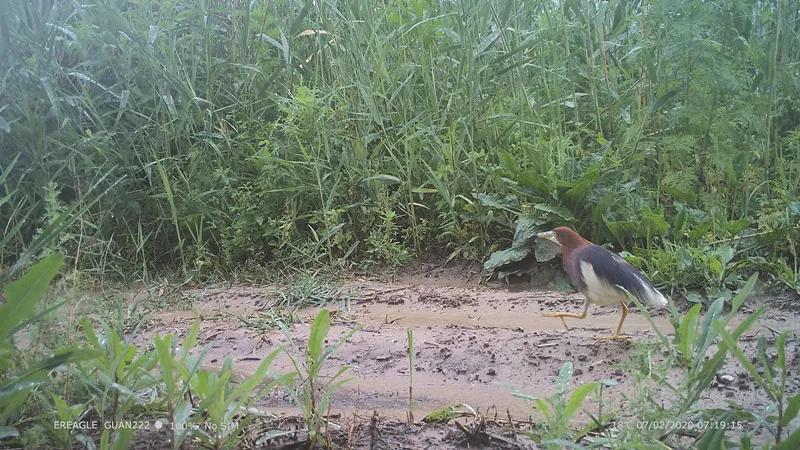 21岁女孩被蚊子叮咬,女生被蚊虫叮咬起大包