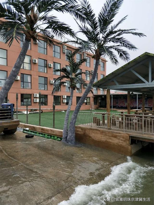 大连哈仙岛民宿三餐,大连哈仙岛民宿客栈