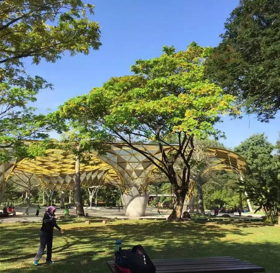 马来西亚吉隆坡槟城兰卡威自由行,马来西亚槟城兰卡威旅游价格