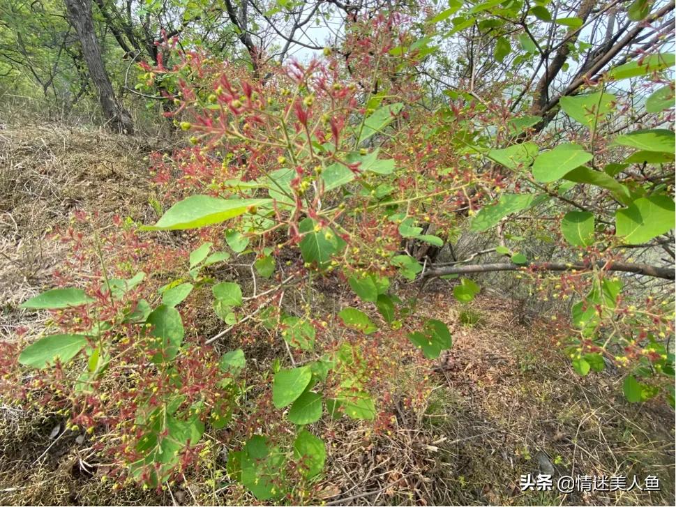 淘宝没流量怎么引流,店铺流量来源和店铺引流的方法