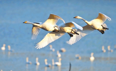 擦亮碧水蓝天生态底色,擦亮山清水秀生态底色