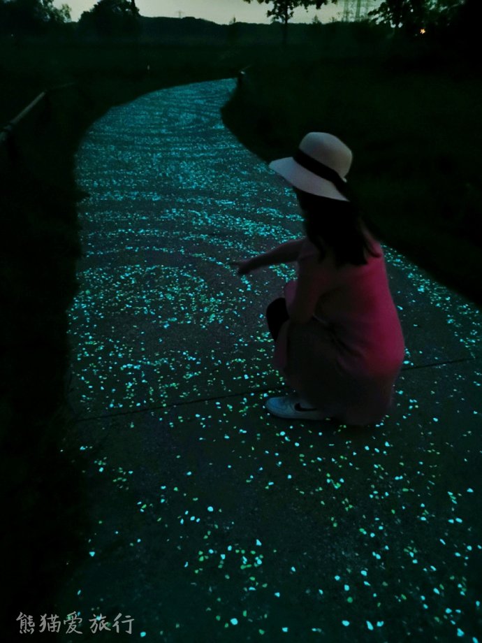 10日荷兰自由行攻略3，在自由包容的国度里浪漫放飞自我