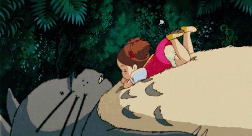 周末喵力四射！国际品猫汇，来吸猫！卢米埃影城18元看龙猫！