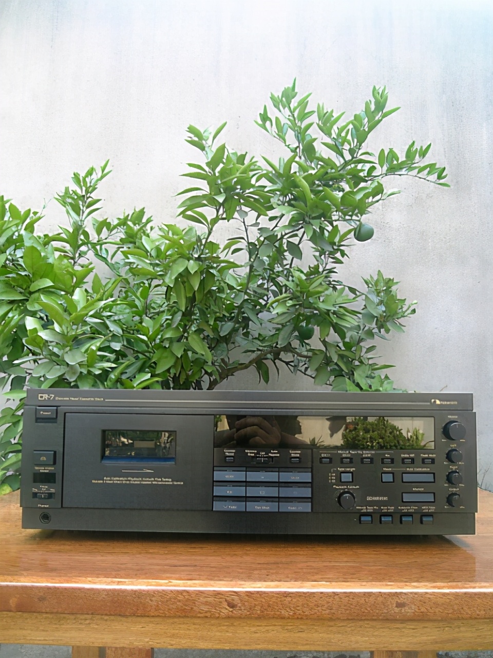 收集的一些感兴趣卡座的有关知识及相关评测