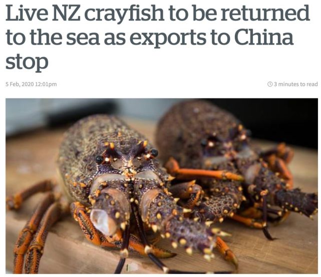 澳洲龙虾出口到中国多少钱一斤,澳洲龙虾进口批发市场