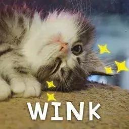 四川大学@吃、住、行、学，看川大如何照顾你生活的方方面面