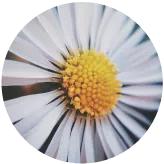 幼儿园以研促教共同成长教研,丰泽区幼儿园艺术领域优质课