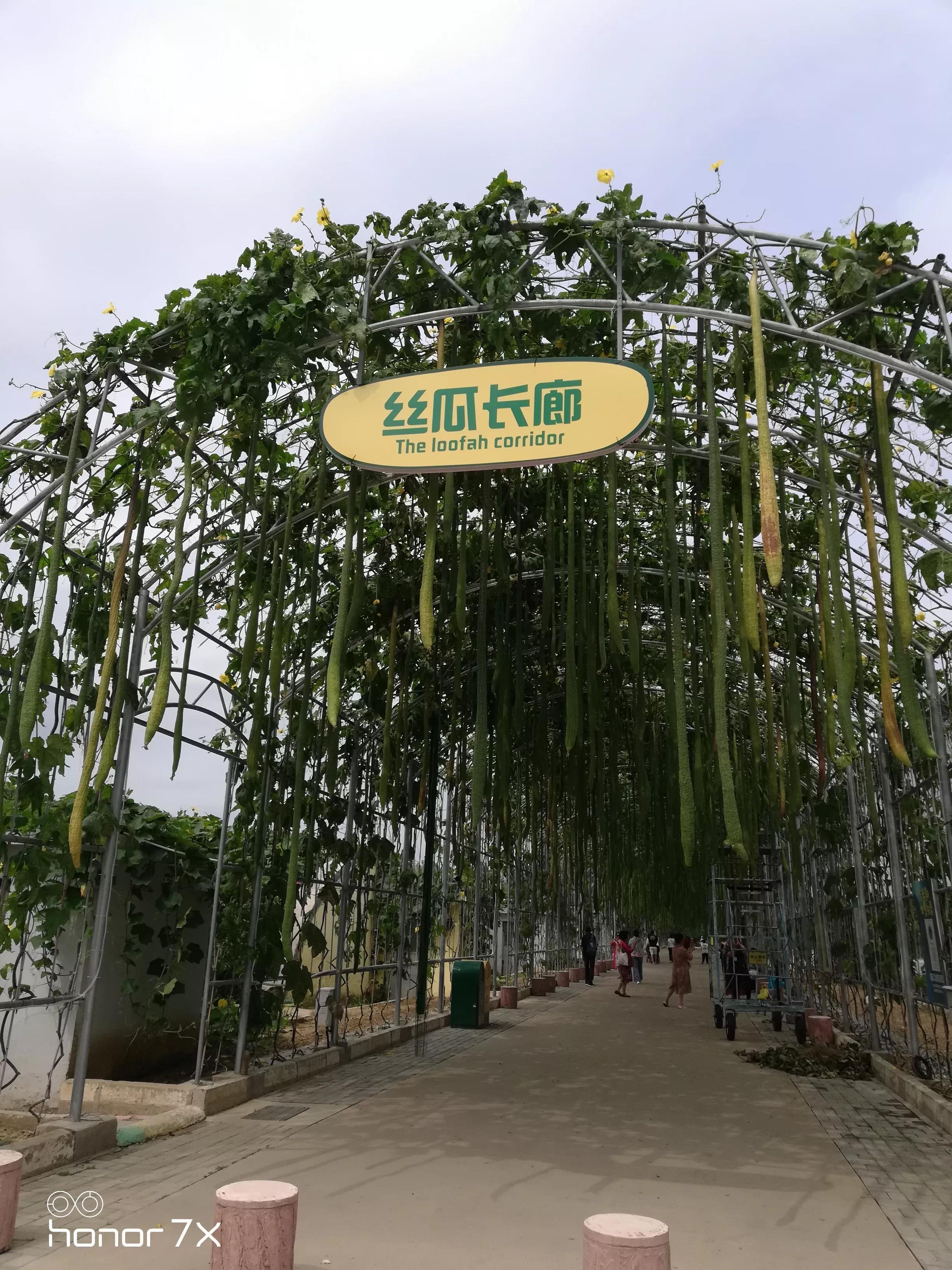 秦皇岛最大农业梦想王国,秦皇岛农业梦想王国图