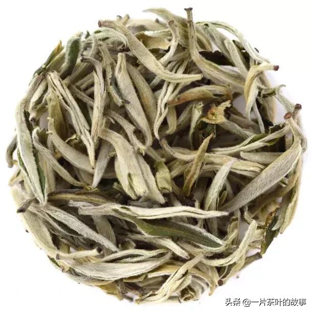 不同种类茶的辨别,茶类鉴别
