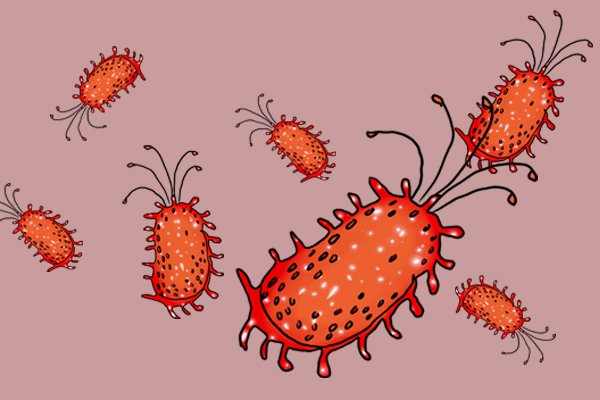 鼻翼两侧老是干燥脱皮怎么办,鼻翼总是脱皮